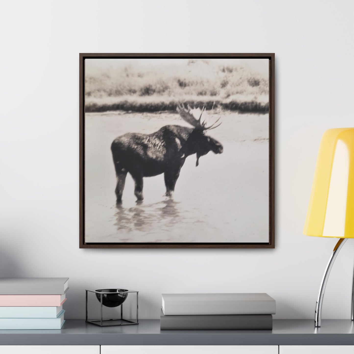 Yellowstone Bull Moose Gallery Canvas Wraps, Square Frame