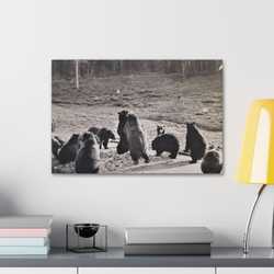 Yellowstone Grizzly Bears Canvas Gallery Wraps 24″ x 16″ 1.25"
