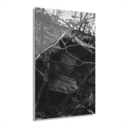 Black & White Forest Acrylic Print French Cleat Hang - - Home Decor