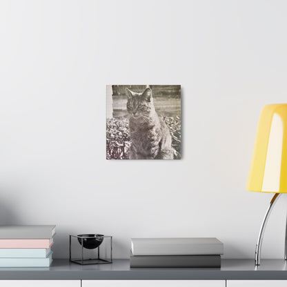 Caledonia Canvas Gallery Wraps 10″ x 10″ 1.25"