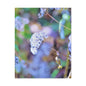 Macro Blue Stretched Canvas 1.5" 24″ x 30″