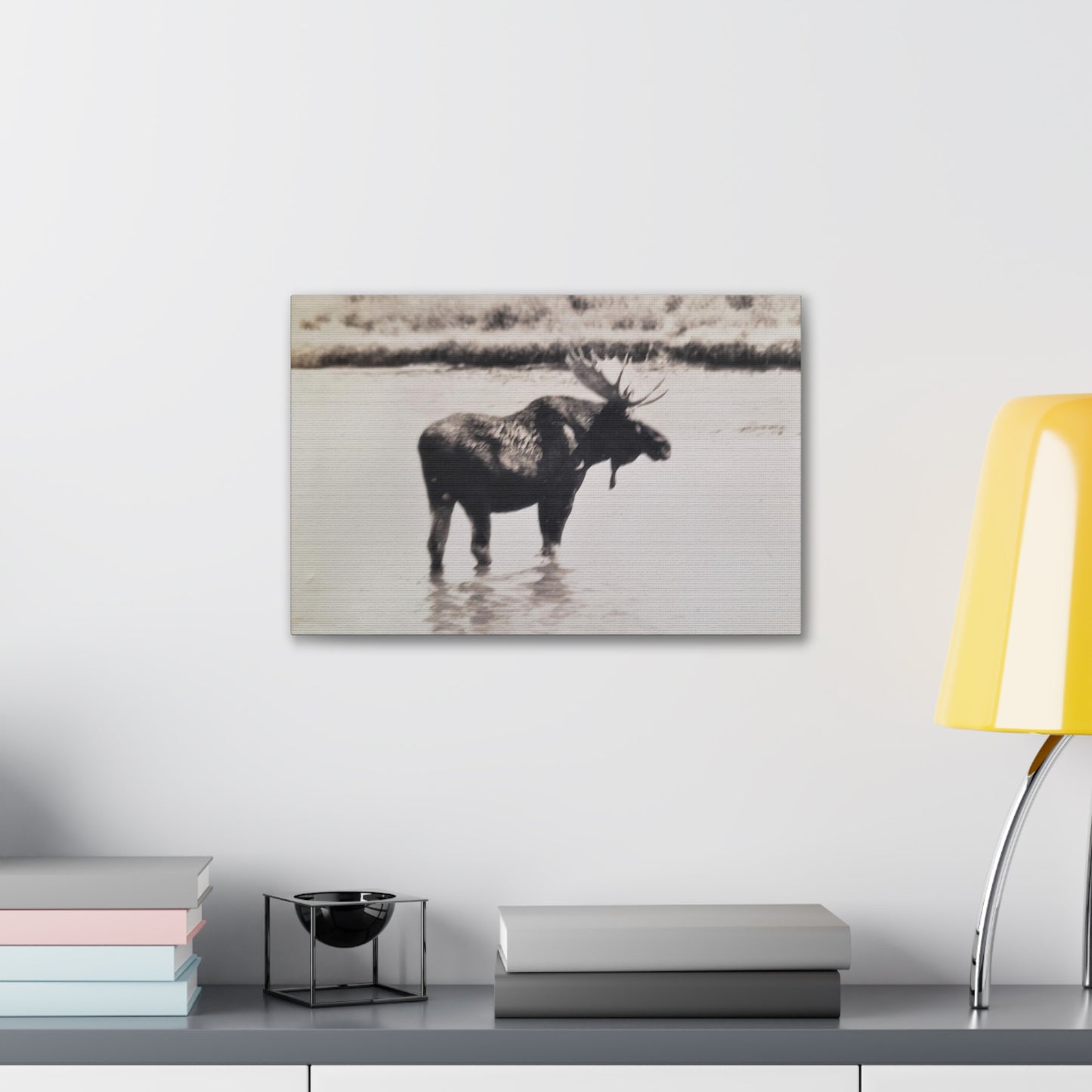 Yellowstone Bull Moose Canvas Gallery Wraps