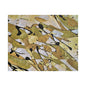 Gold Rush Satin Canvas, Stretched 10″ x 8″ (Horizontal) 1.5"