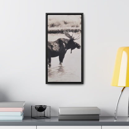 Yellowstone Bull Moose Gallery Canvas Wraps Vertical Frame 10″ x 20″ Premium Gallery Wraps (1.25″) Black
