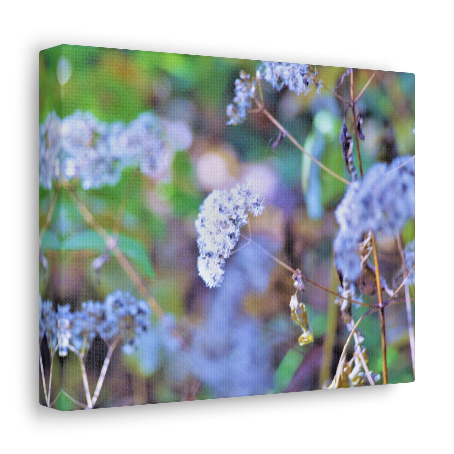 Macro Blue Canvas Gallery Wraps