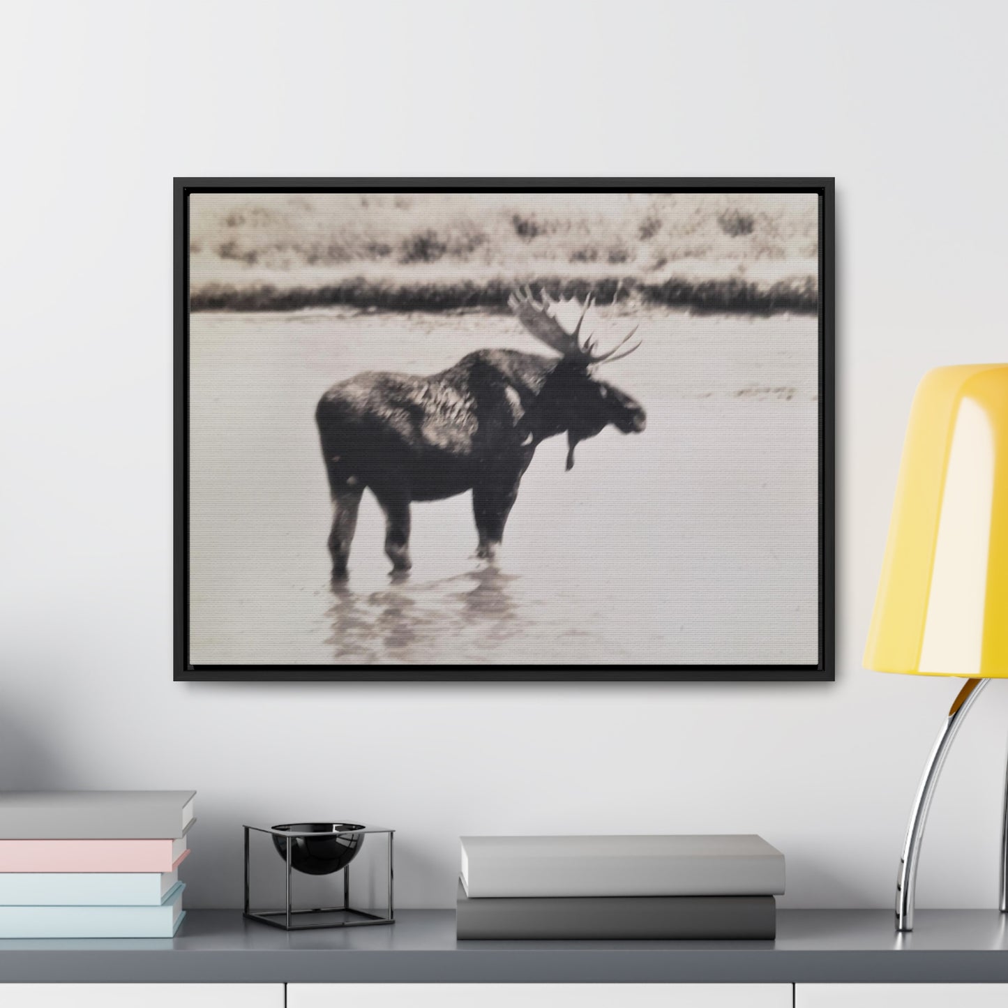 Yellowstone Bull Moose Gallery Canvas Wraps, Horizontal Frame