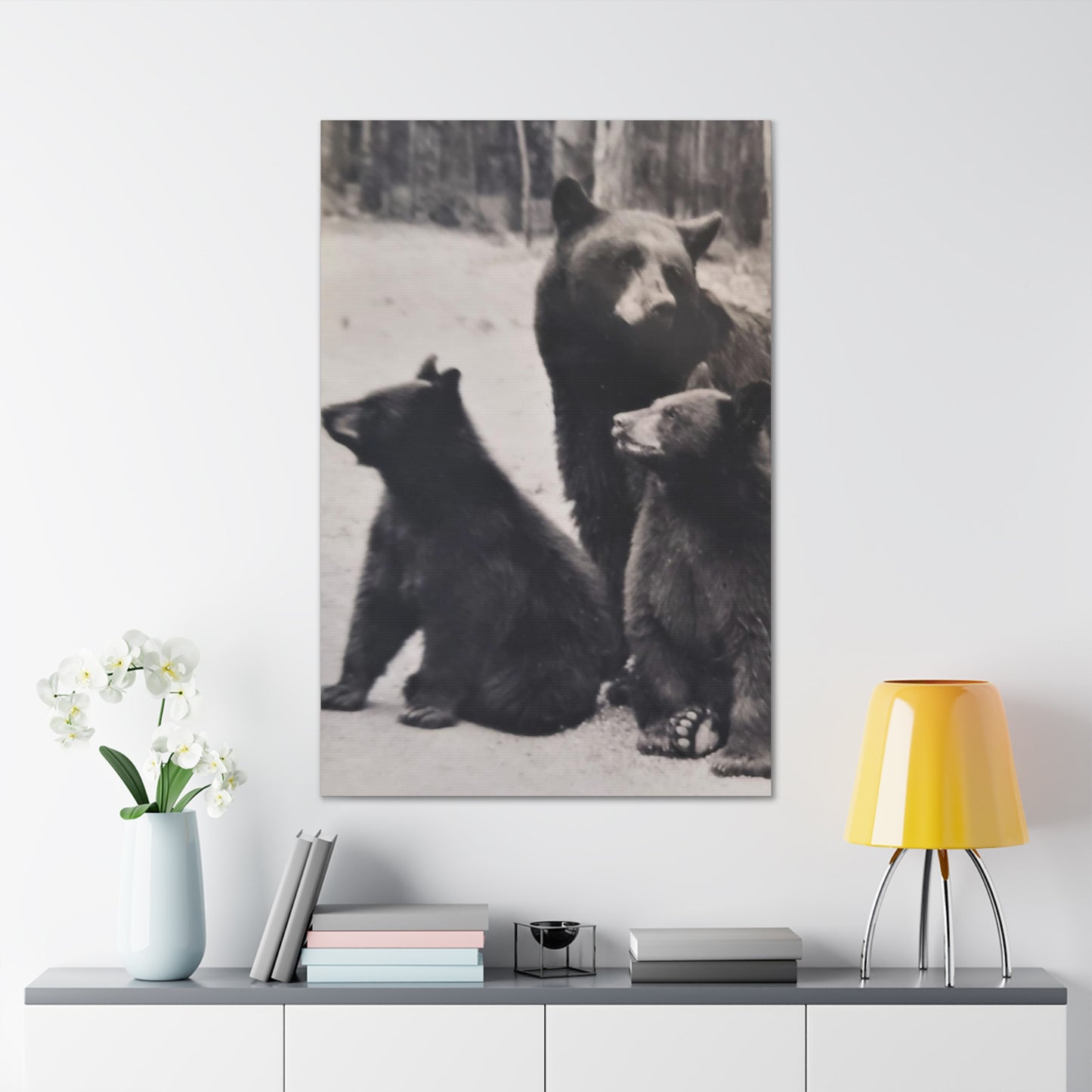 Yellowstone Black Bears Canvas Gallery Wraps