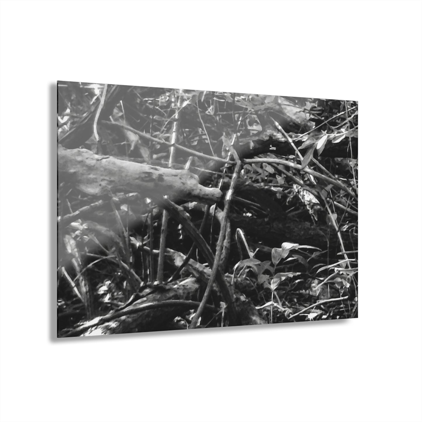 Black & White Deep Timber Path Acrylic Print French Cleat Hanging - 30″ x 20″ (Horizontal) 0.25'' - Home Decor