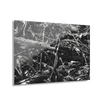 Black & White Deep Timber Path Acrylic Print French Cleat Hanging - 30″ x 20″ (Horizontal) 0.25'' - Home Decor