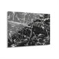 Black & White Deep Timber Path Acrylic Print French Cleat Hanging - 30″ x 20″ (Horizontal) 0.25'' - Home Decor