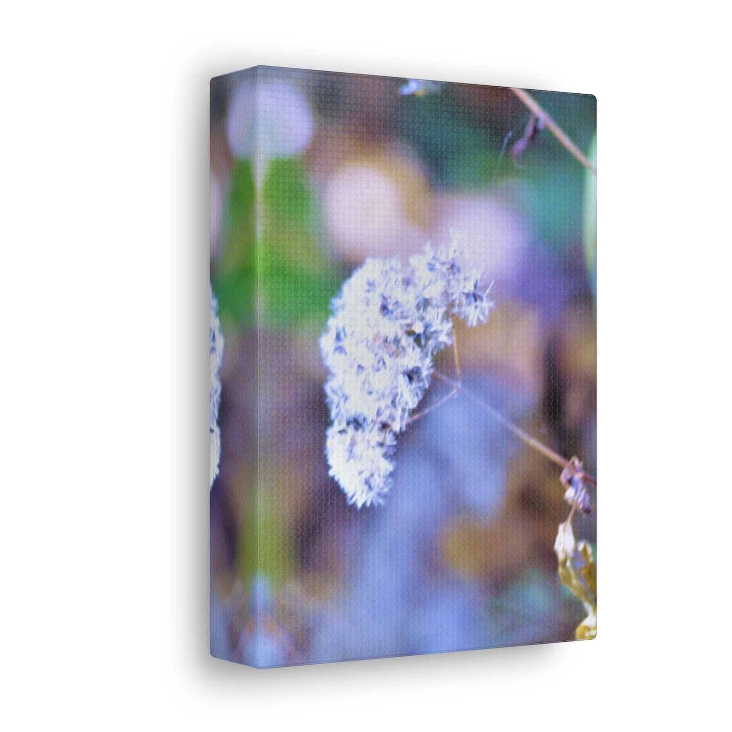 Macro Blue Canvas Gallery Wraps