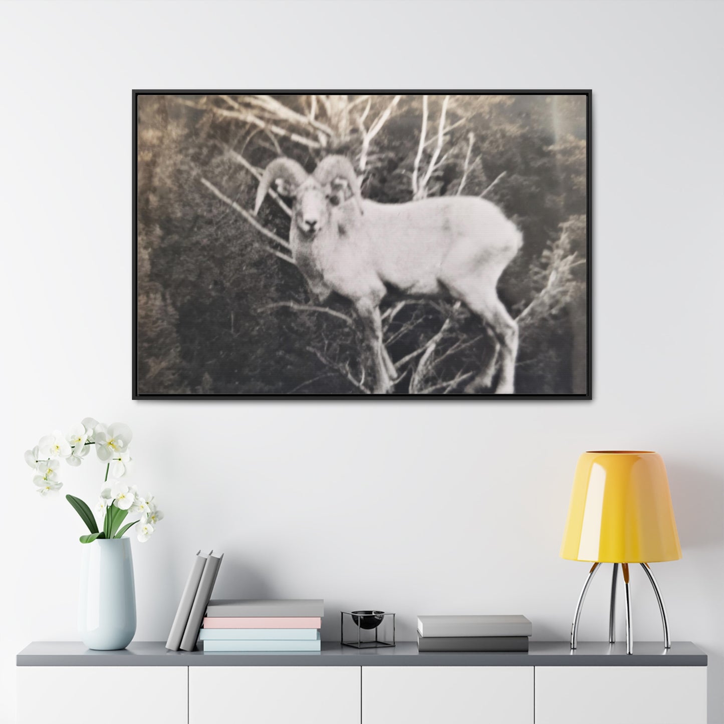 Yellowstone Big Horn Sheep Gallery Canvas Wraps, Horizontal Frame