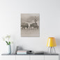 Buffalo at Redwood Falls Stretched Canvas 1.5" 24″ x 30″