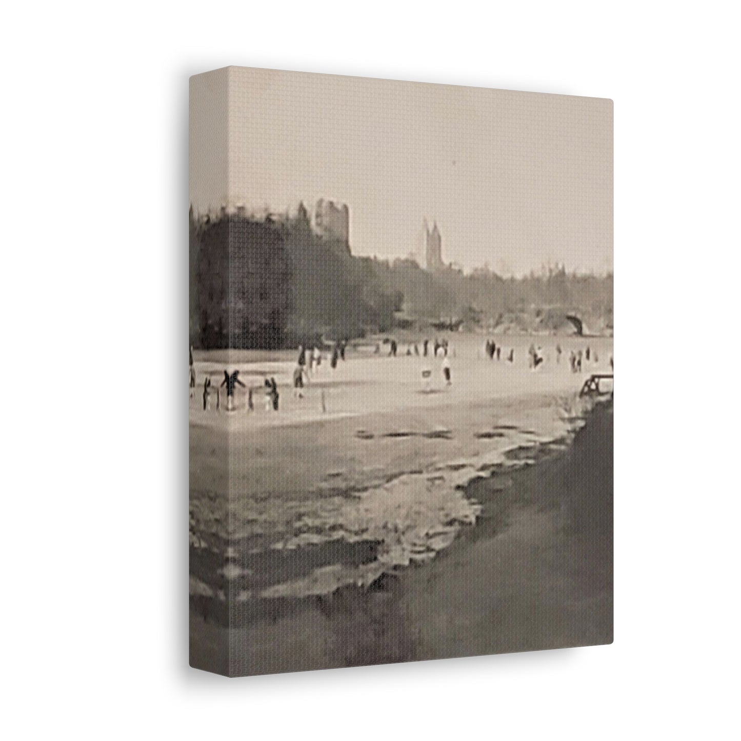 Central Park Stretched Canvas