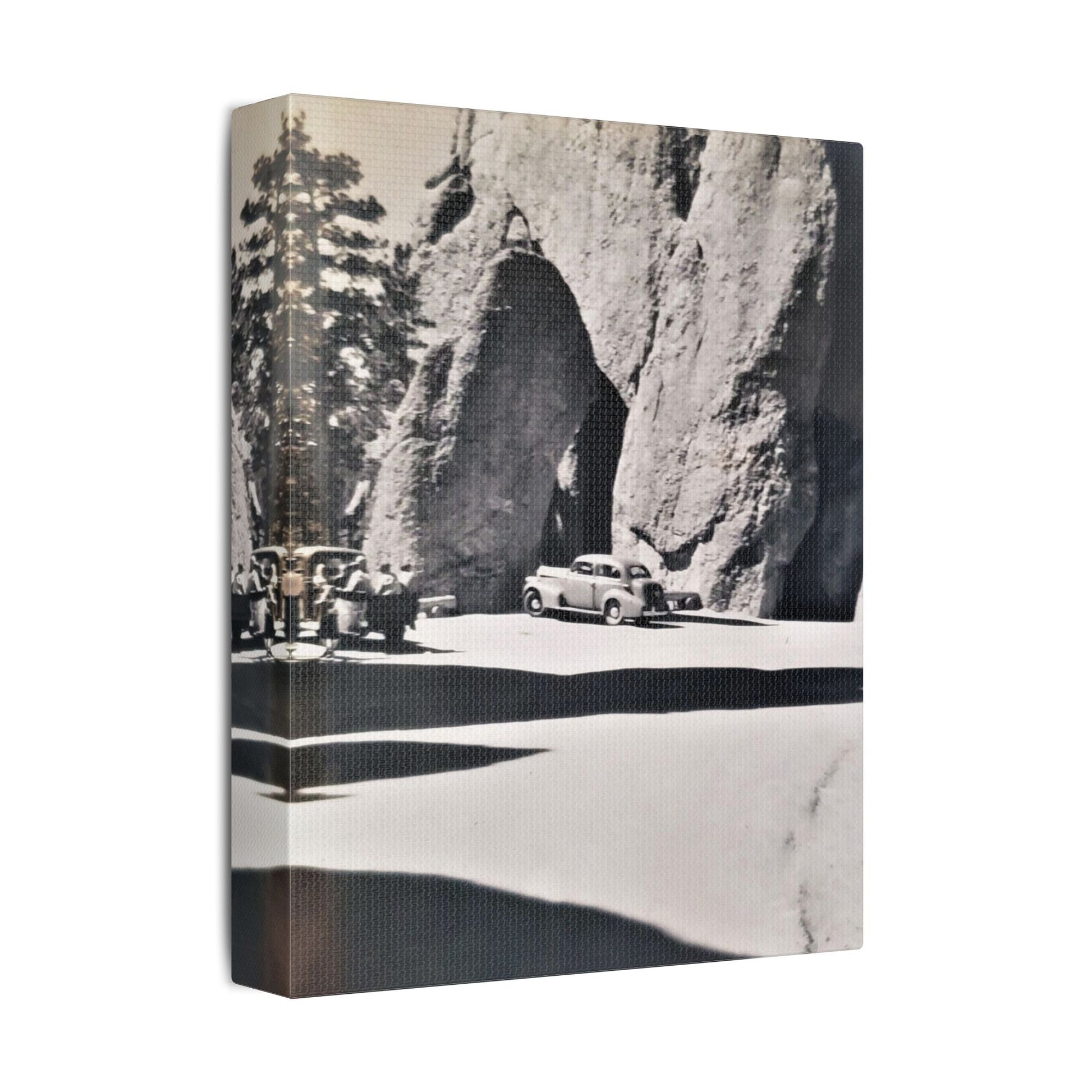 At the Needles Satin Canvas Stretched