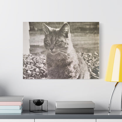 Caledonia Satin Canvas Stretched