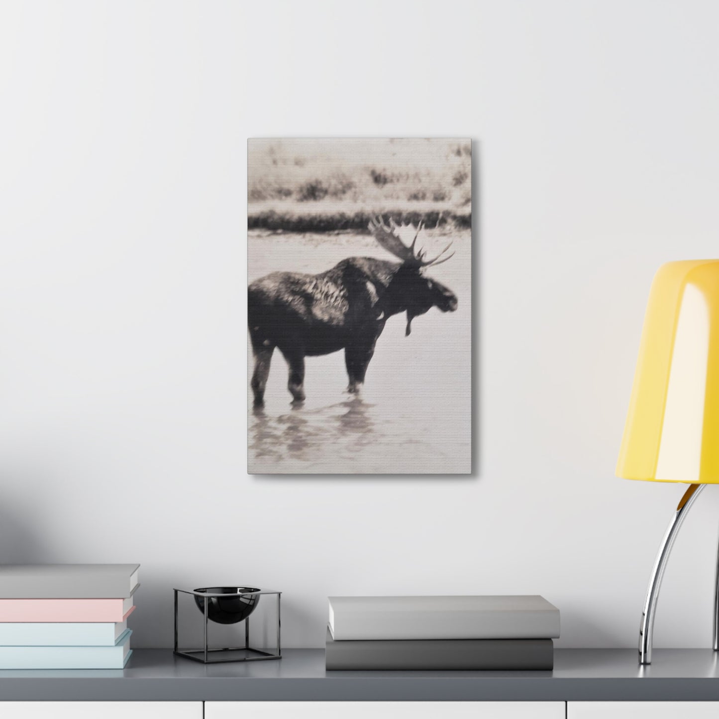 Yellowstone Bull Moose Canvas Gallery Wraps