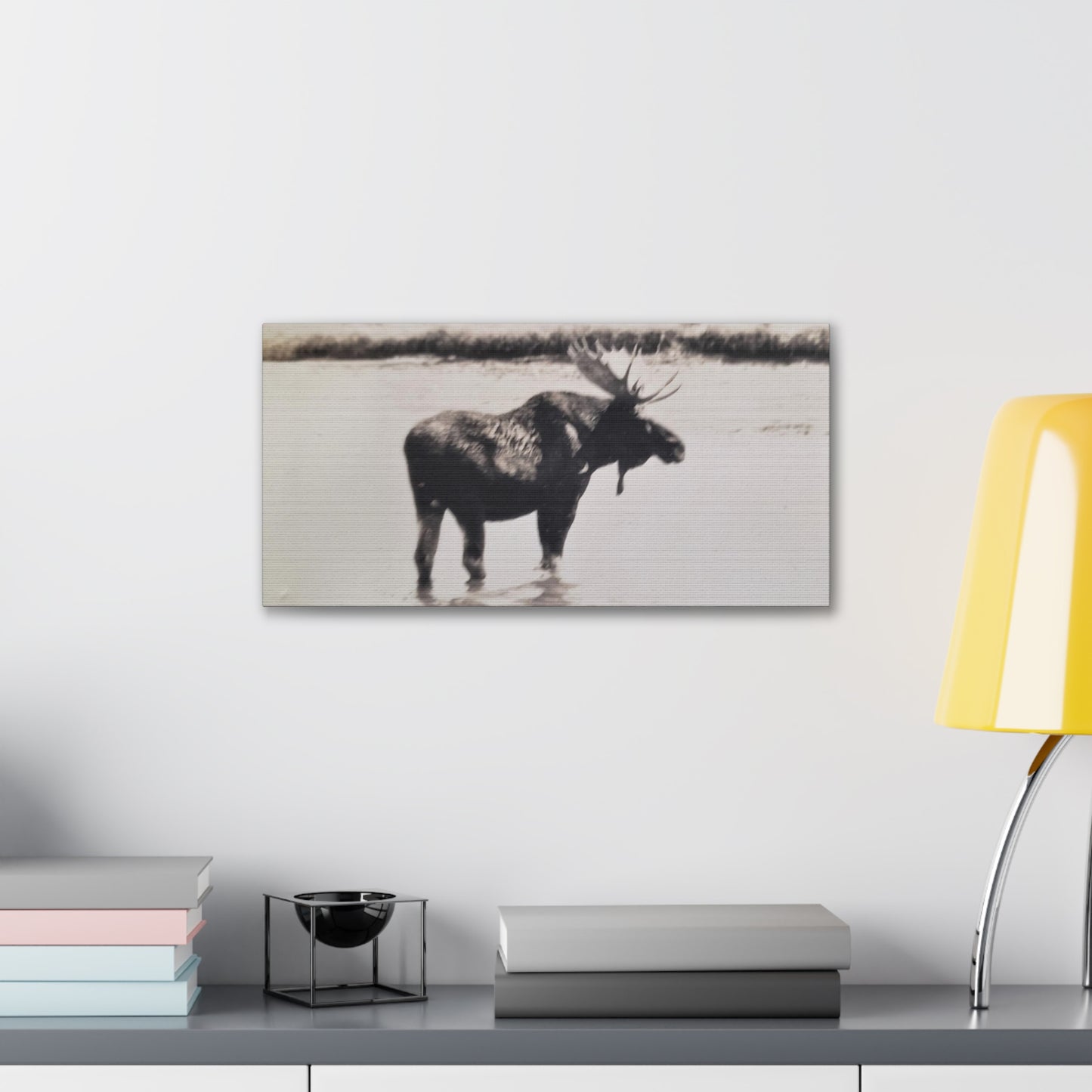 Yellowstone Bull Moose Canvas Gallery Wraps