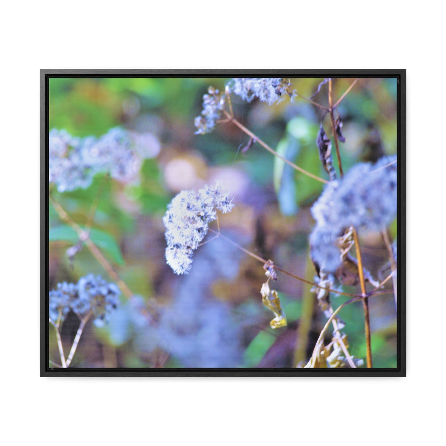 Macro Blue Gallery Canvas Wraps, Horizontal Frame