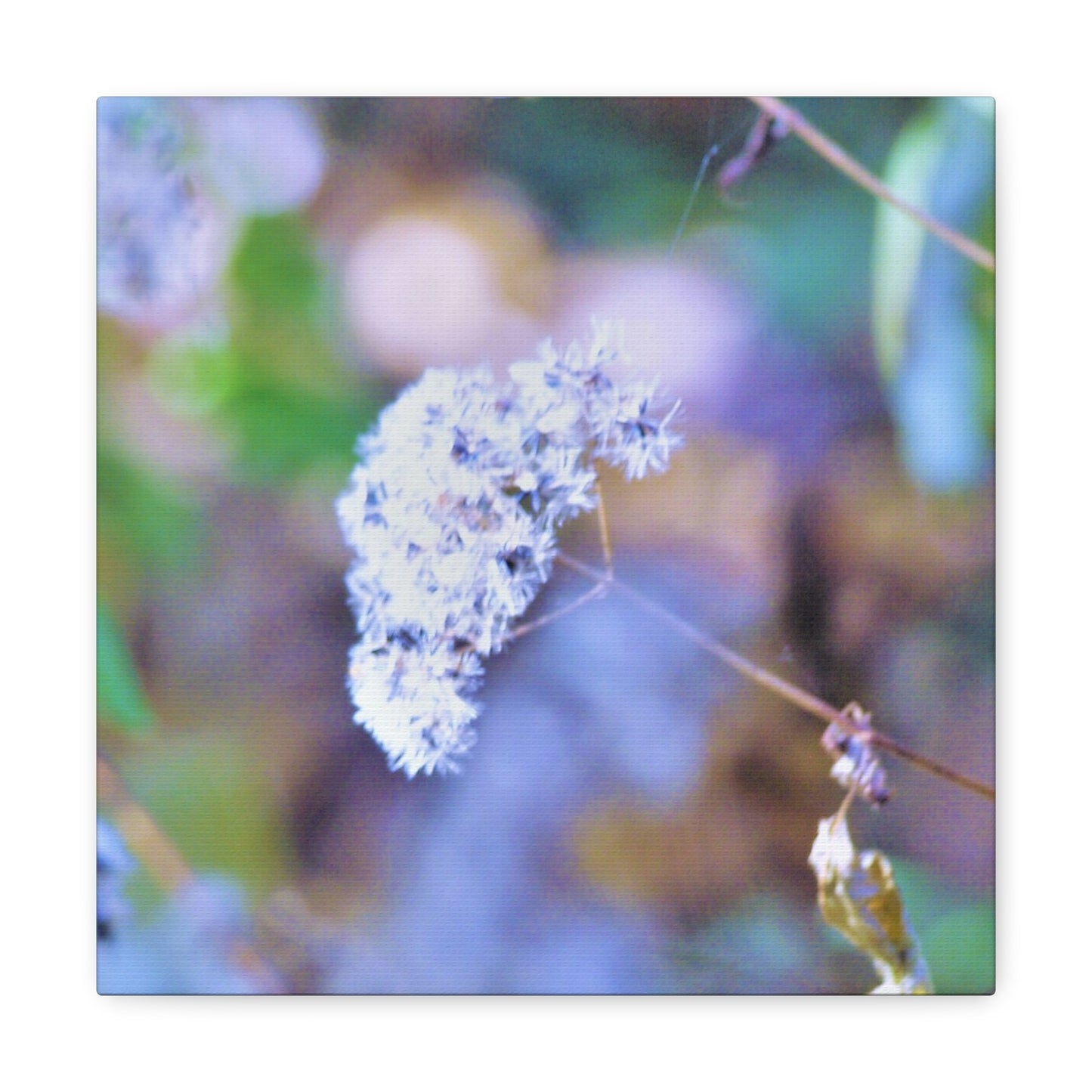 Macro Blue Canvas Gallery Wraps