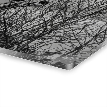 Black & White Buzzards in Winter Trees French Cleat Hanging - - Home Decor