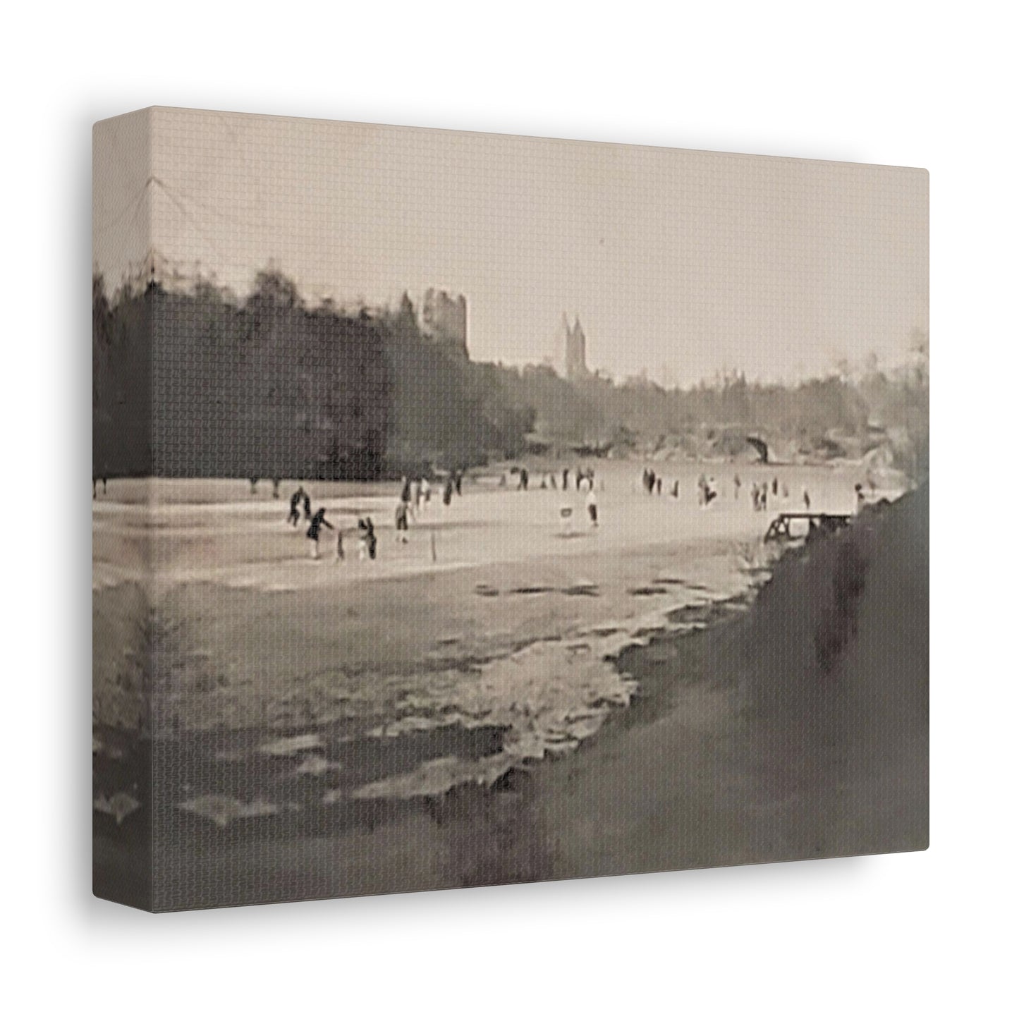 Central Park Stretched Canvas