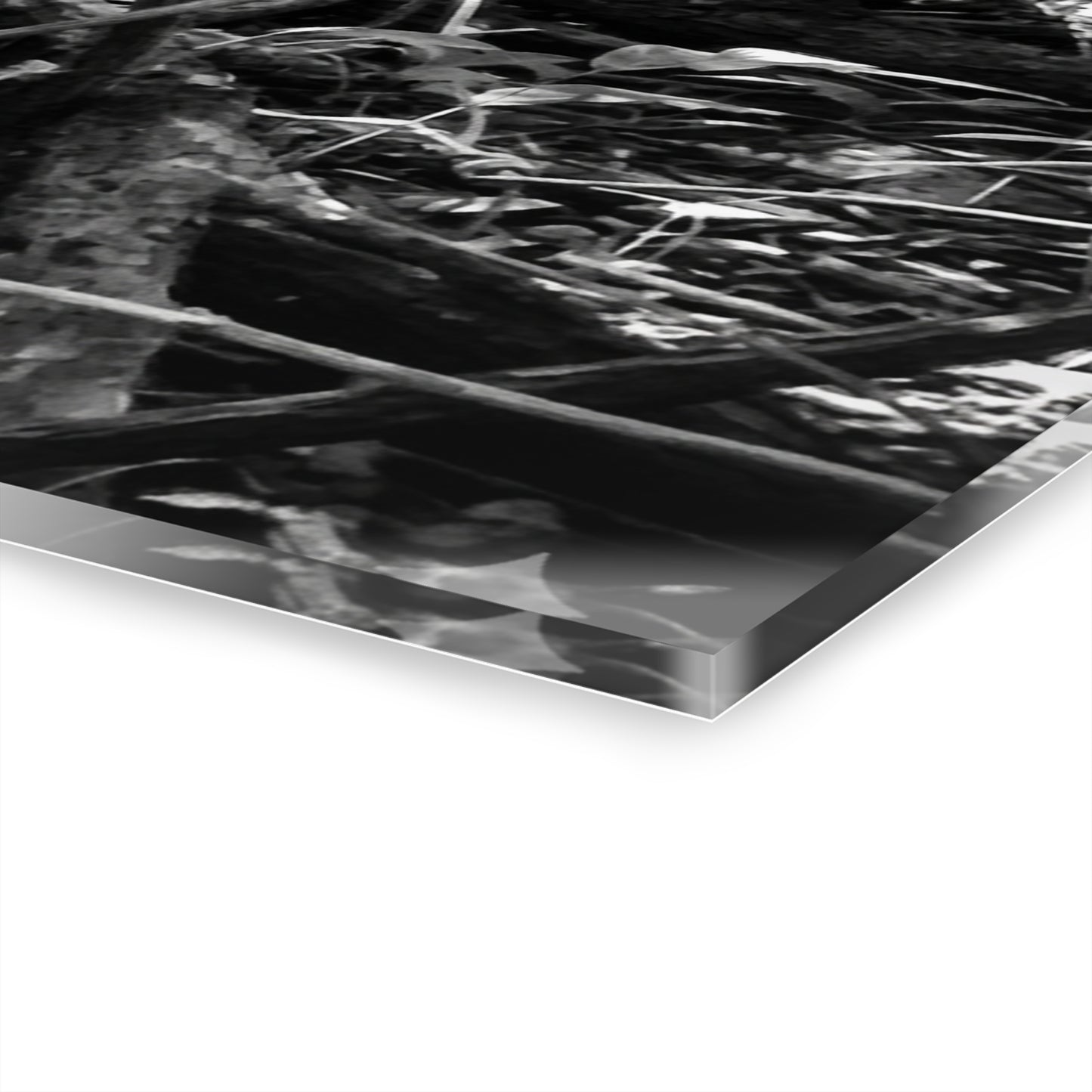 Black & White Deep Timber Path Acrylic Print French Cleat Hanging - - Home Decor