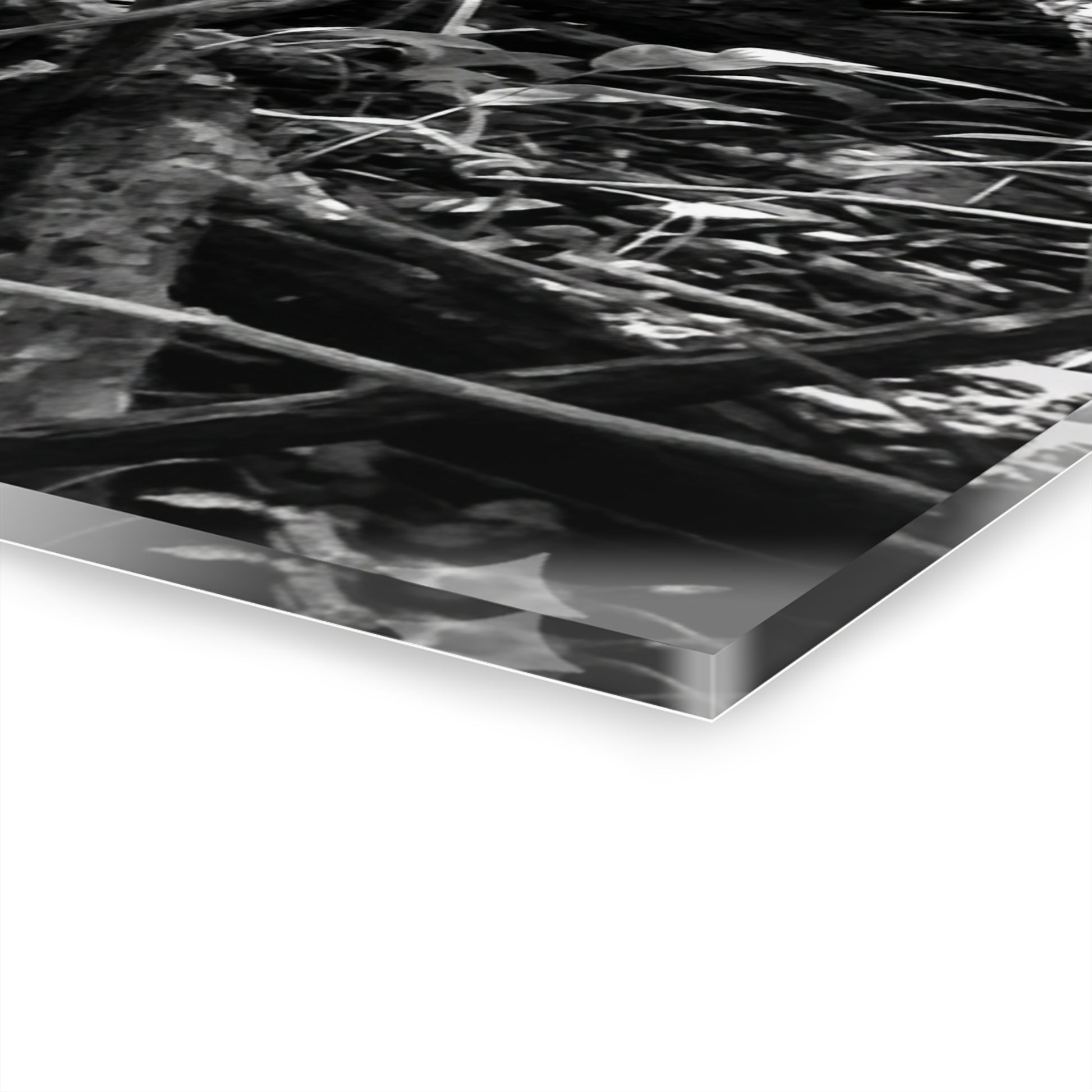 Black & White Deep Timber Path Acrylic Print French Cleat Hanging - - Home Decor