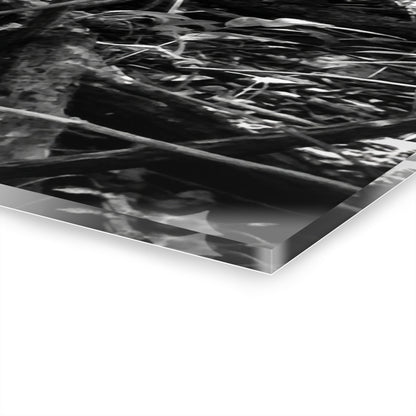 Black & White Deep Timber Path Acrylic Print French Cleat Hanging - - Home Decor