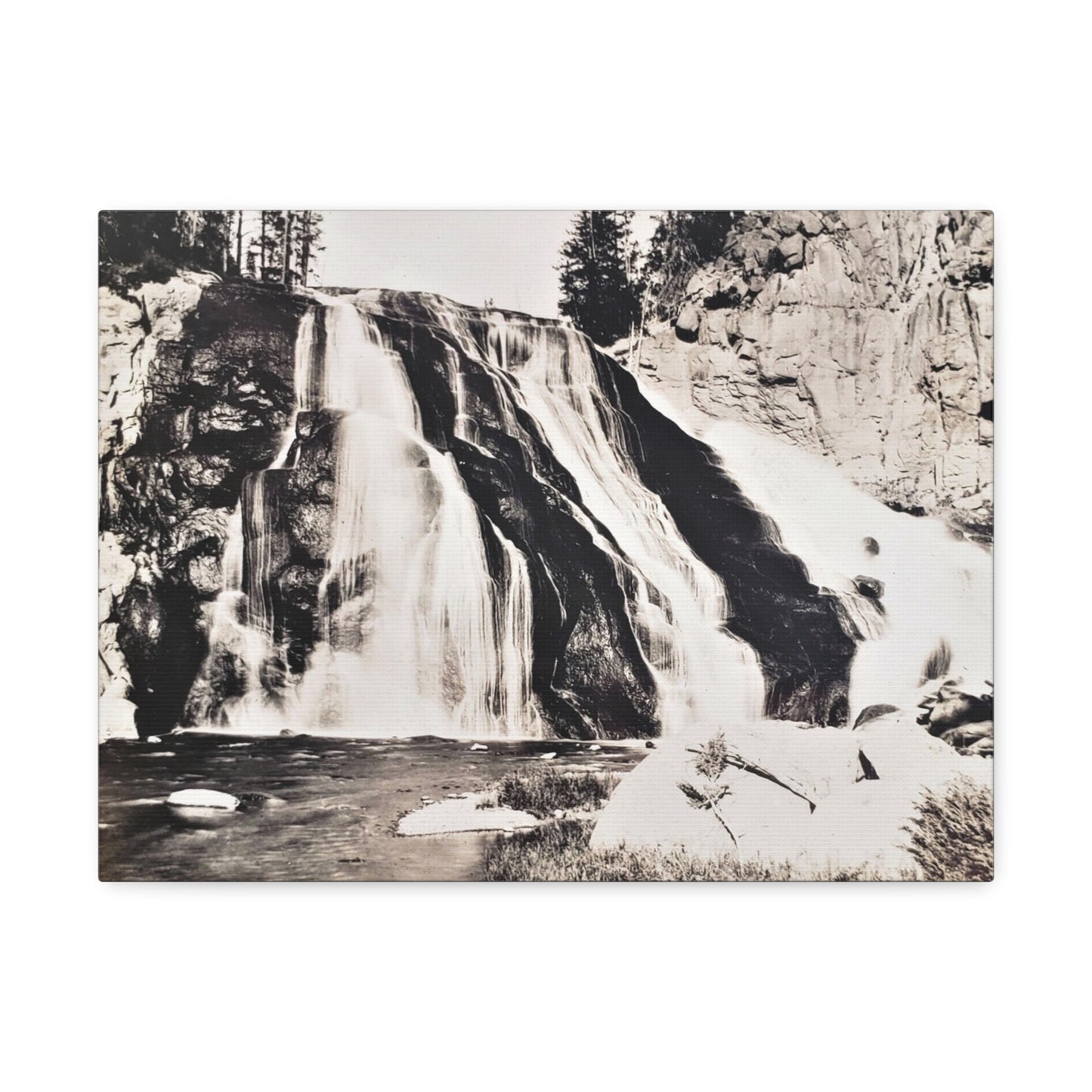 Gibbon Falls Yellowstone Stretched Canvas