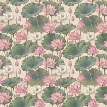 Shiga Wallpaper - - Wallpaper