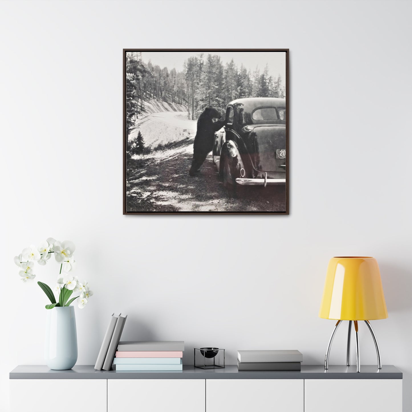 Yellowstone Bear Car Gallery Canvas Wraps, Square Frame