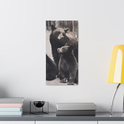 Yellowstone Black Bears Canvas Gallery Wraps 10″ x 20″ 1.25"