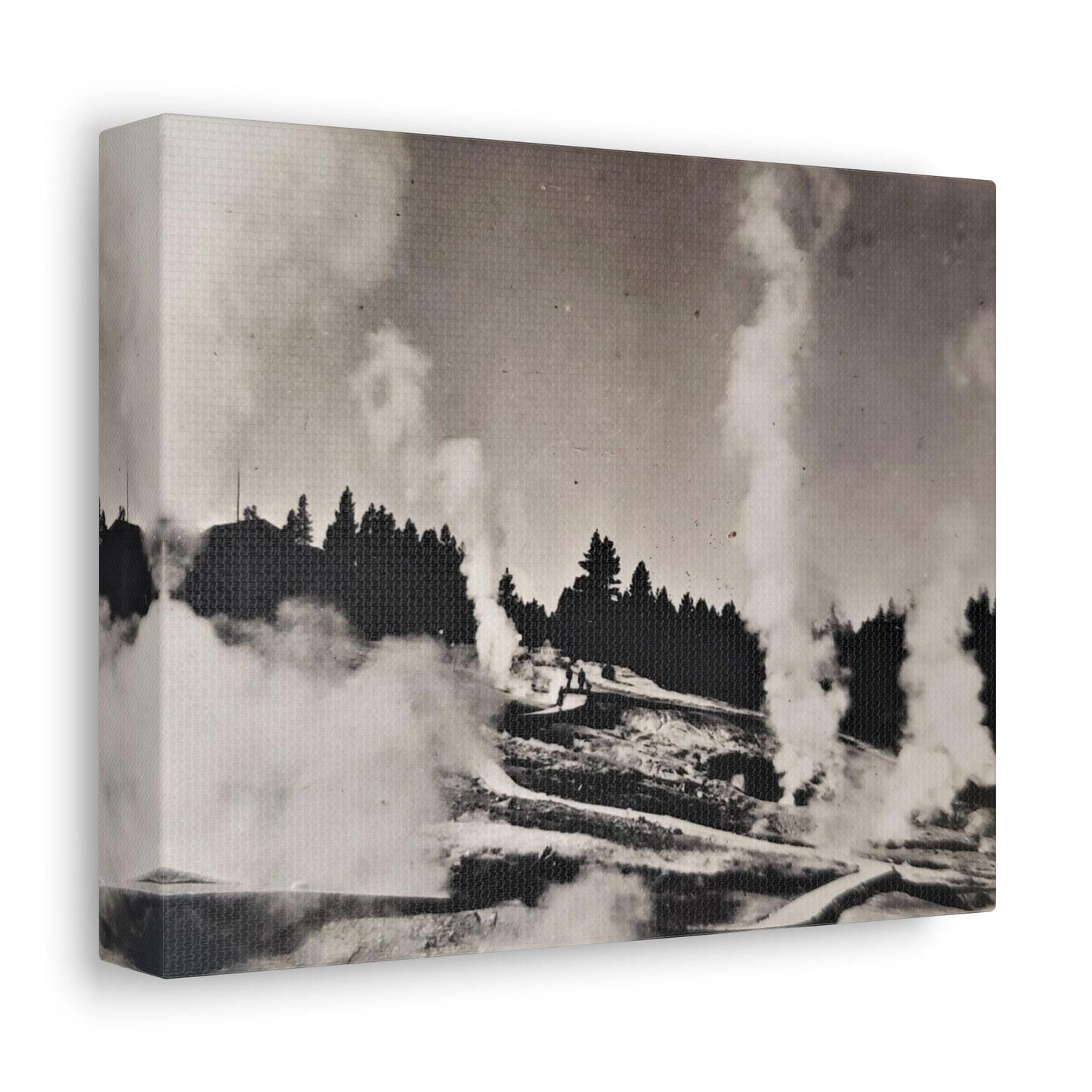 Norris Geyser Yellowstone Stretched Canvas