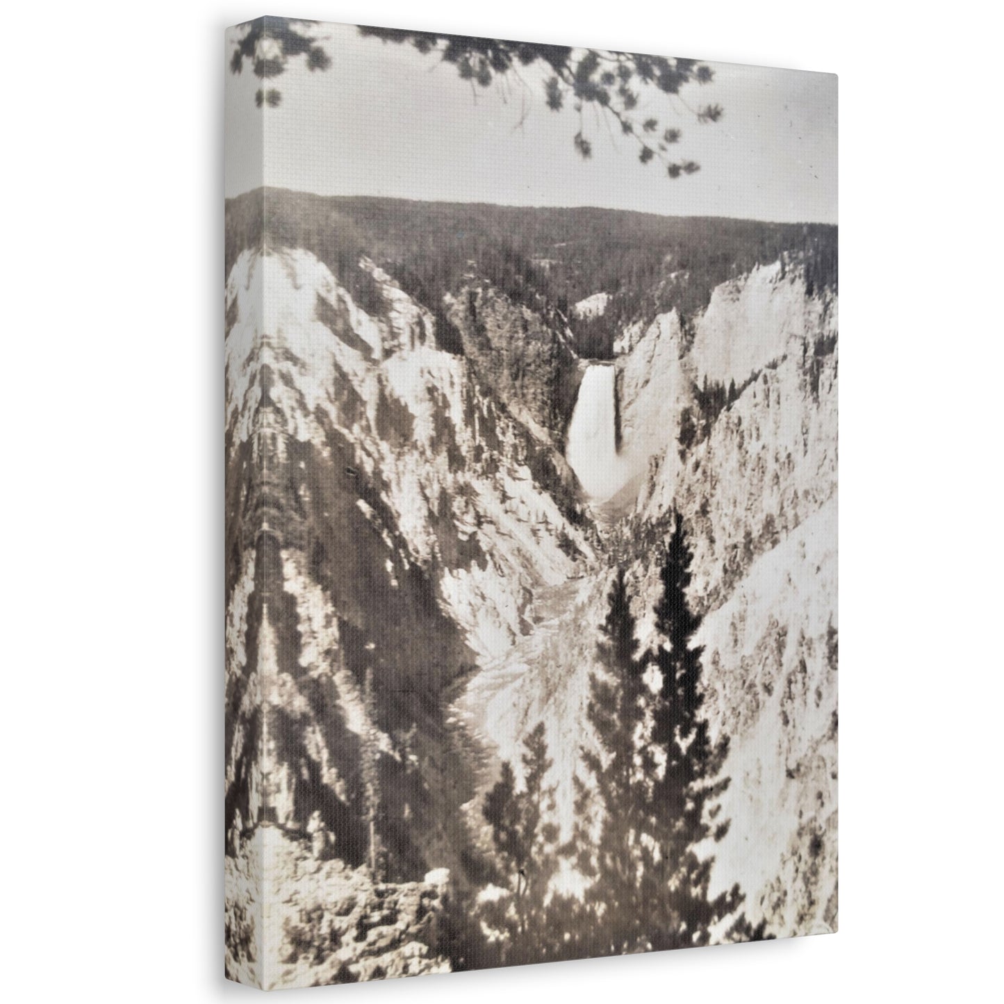 Artists Point Yellowstone Stretched Canvas