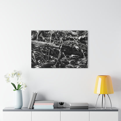 Black & White Deep Timber Path Acrylic Print French Cleat Hanging - - Home Decor