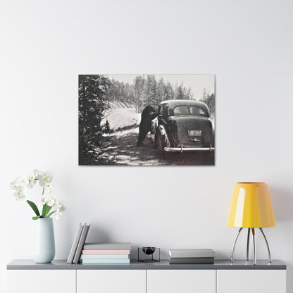 Yellowstone Bear Car Canvas Gallery Wraps 36" x 24" 1.25"