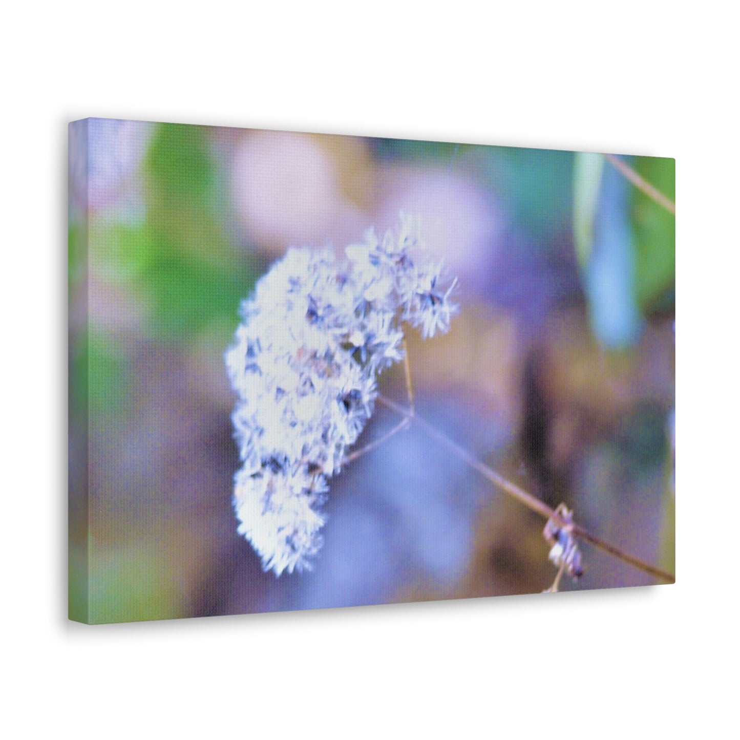 Macro Blue Canvas Gallery Wraps