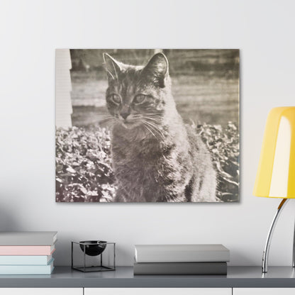 Caledonia Canvas Gallery Wraps 24″ x 20″ 1.25"