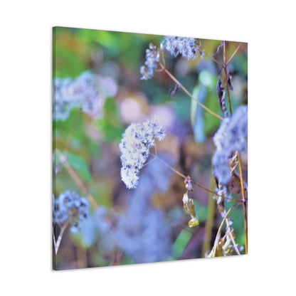 Macro Blue Canvas Gallery Wraps