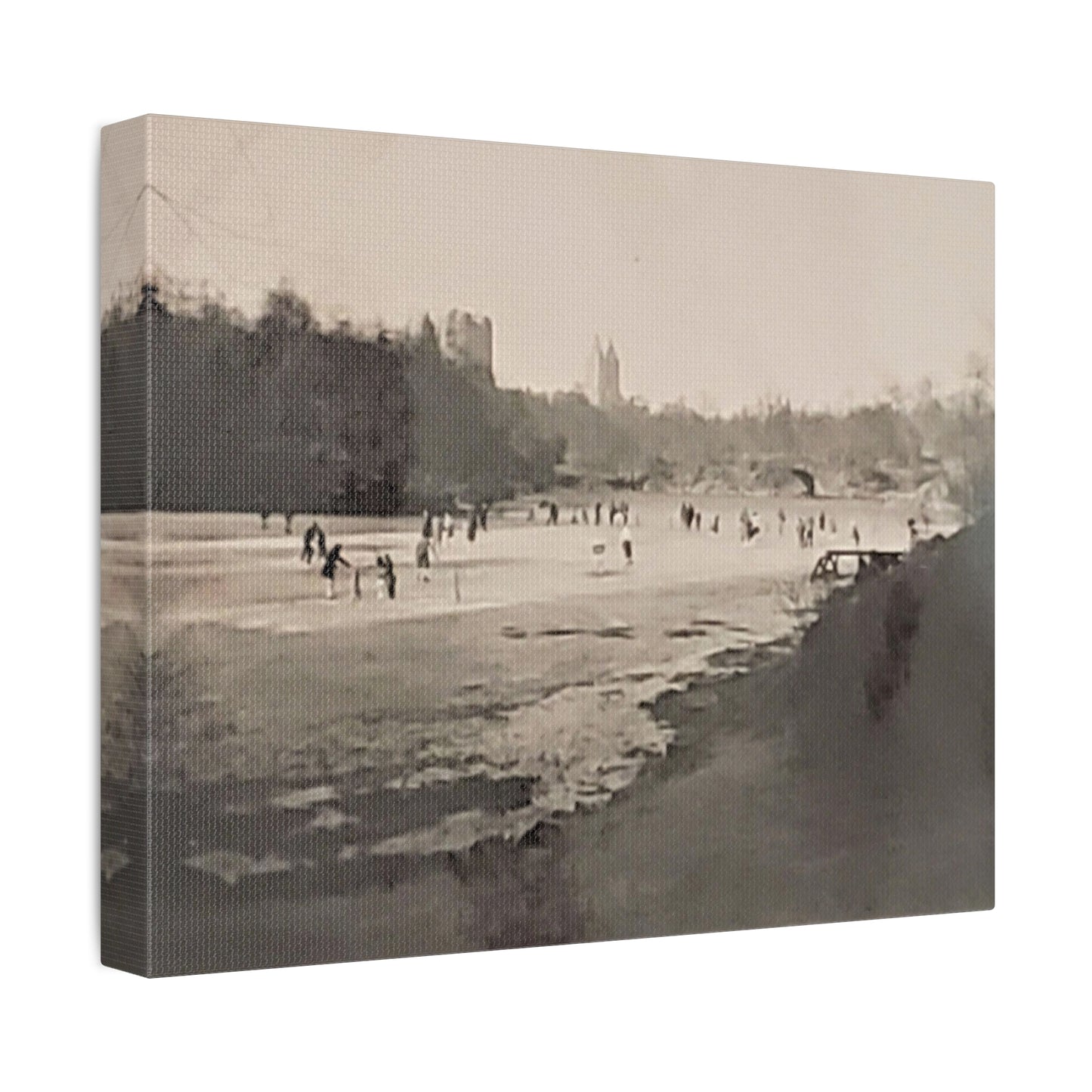 Central Park Stretched Canvas