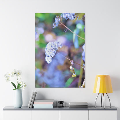 Macro Blue Canvas Gallery Wraps