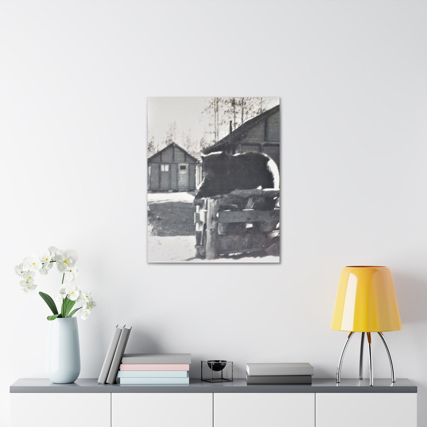 Yellowstone Bear Canvas Gallery Wraps 24″ x 30″ 1.25"
