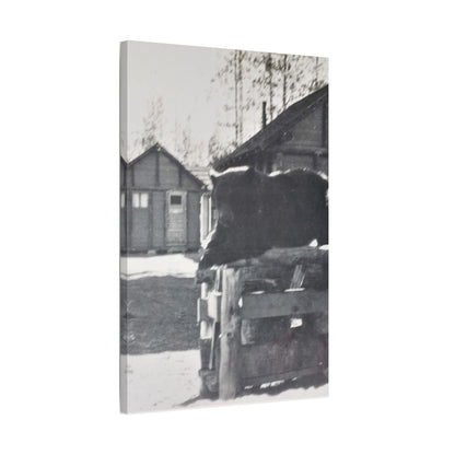 Yellowstone Bear Satin Canvas Stretched