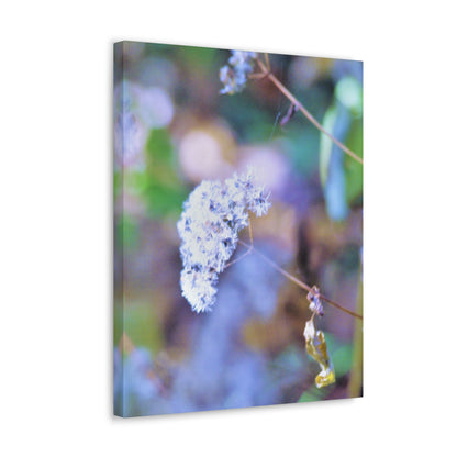 Macro Blue Canvas Gallery Wraps