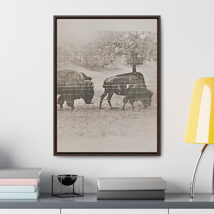 Buffalo at Redwood Falls Gallery Canvas Wraps Vertical Frame 18″ x 24″ Premium Gallery Wraps (1.25″) Walnut