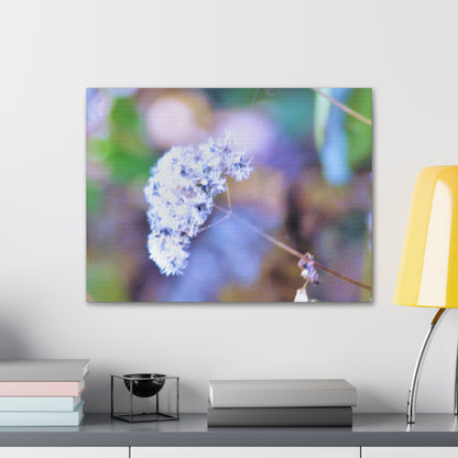 Macro Blue Canvas Gallery Wraps