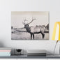 Yellowstone Bull Elk Canvas Gallery Wraps 24″ x 18″ 1.25"