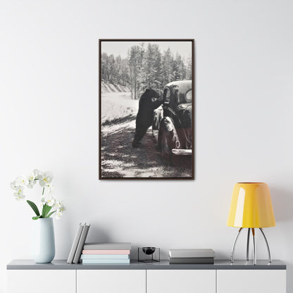 Yellowstone Bear Car Gallery Canvas Wraps Vertical Frame 24″ x 36″ Premium Gallery Wraps (1.25″) Walnut