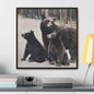 Yellowstone Black Bears Gallery Canvas Wraps Square Frame 30″ x 30″ Premium Gallery Wraps (1.25″) Walnut